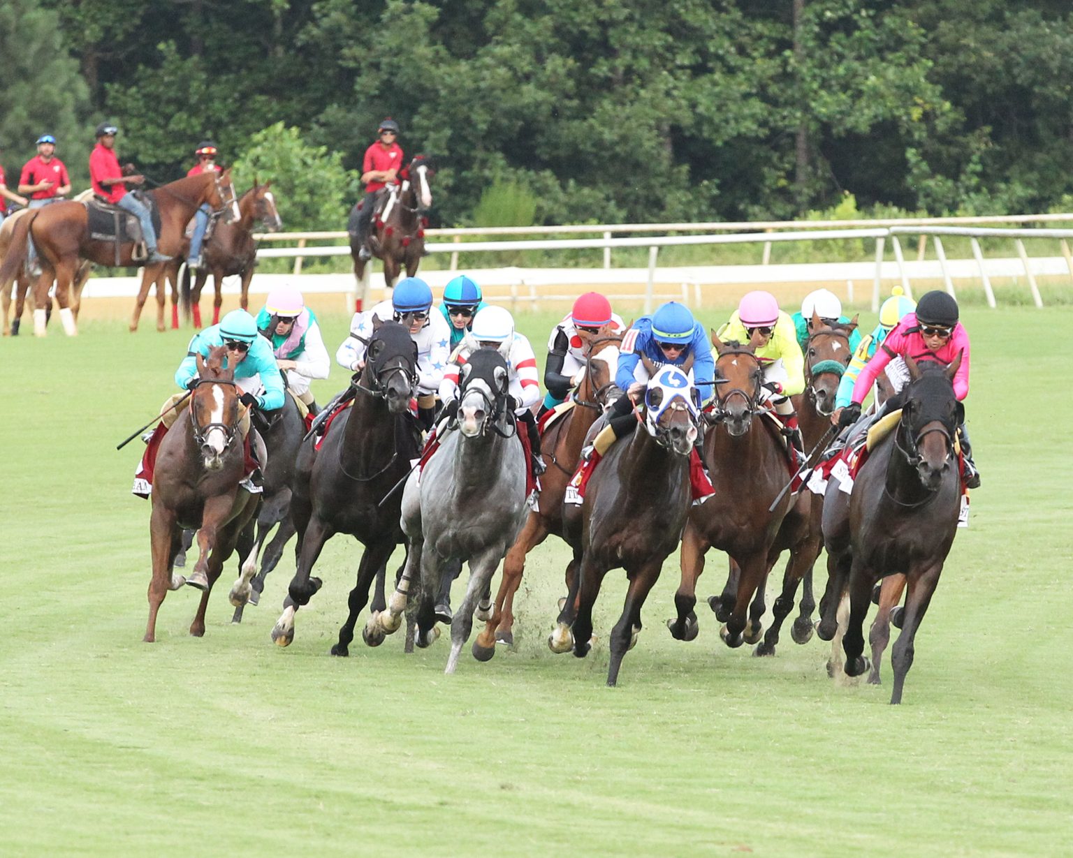 Colonial Downs to Race 27 Days in 2024 Virginia Thoroughbred Association