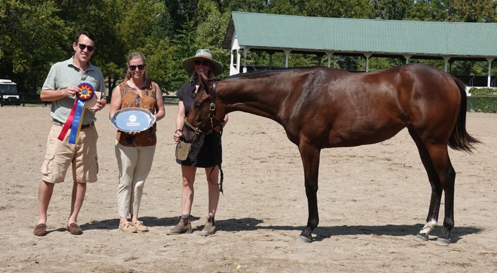 2023 Futurity Grand Champion the 2022 Filly out of Astral Favor by Vino Roso owned by Sara Miller and Timbercreek Farm, bred by Remount Thoroughbreds LLC. Pictured with Judge Brittany Russell and the VEA's Jeb Hannum.